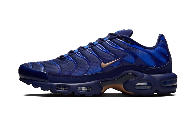 Nike Air Max Plus French Football Federation