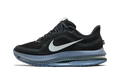 Nike Air Zoom Pegasus Premium Anthracite
