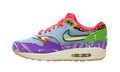 Nike Air Max 1 SP Concepts Far Out (Regular Box)