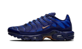 Nike Air Max Plus French Football Federation