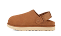 UGG Goldenstar Clog Chestnut (Women's)