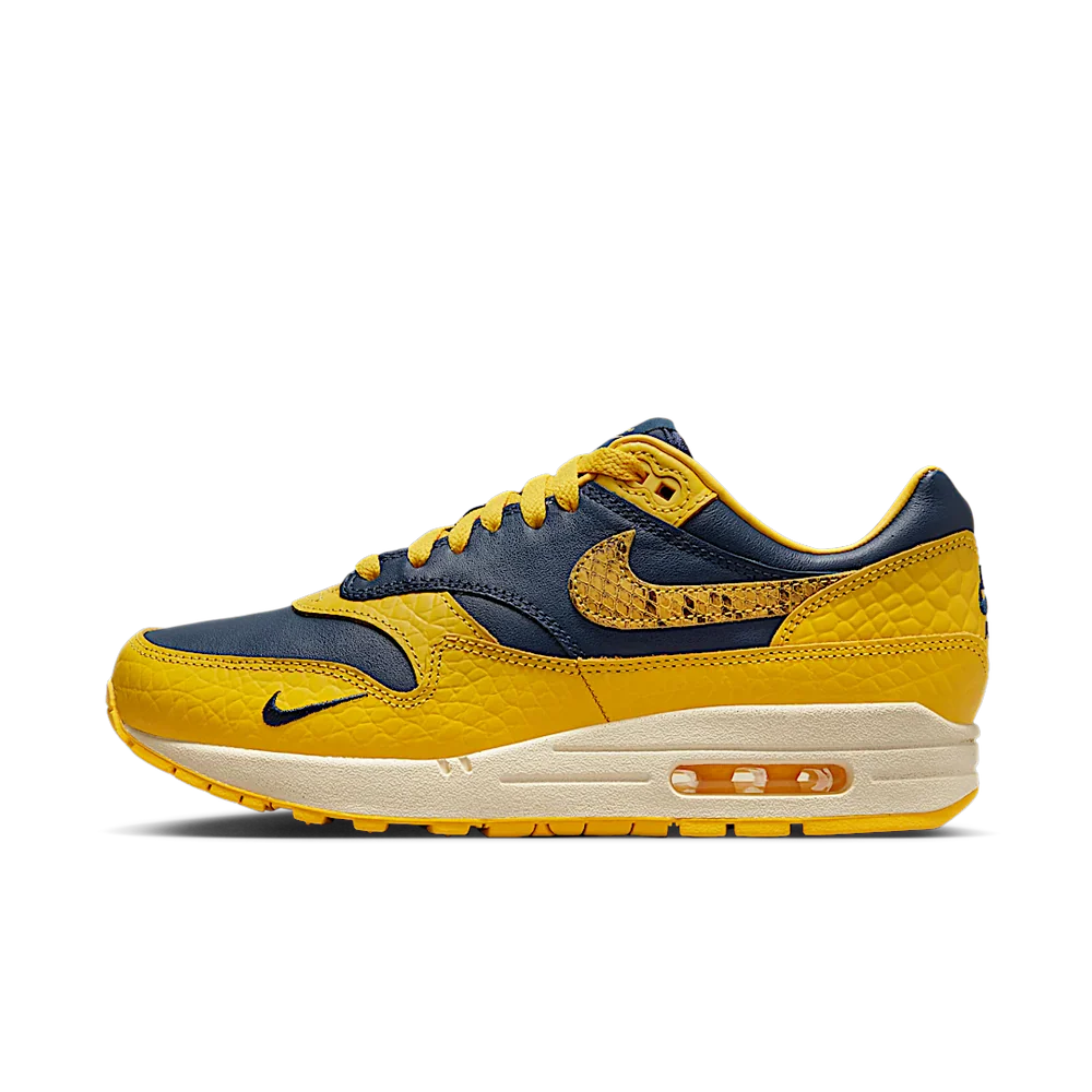 Nike Air Max 1 CO.JP Michigan Head to Head
