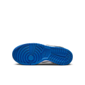 Nike Dunk Low Cool Grey Light Photo Blue (GS)