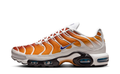 Nike Air Max Plus One Block Down Chutney