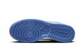 Nike Dunk Low Polar Blue