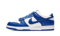 Nike Dunk Low SP Kentucky