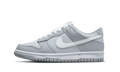 Nike Dunk Low Two-Toned Grey (GS)